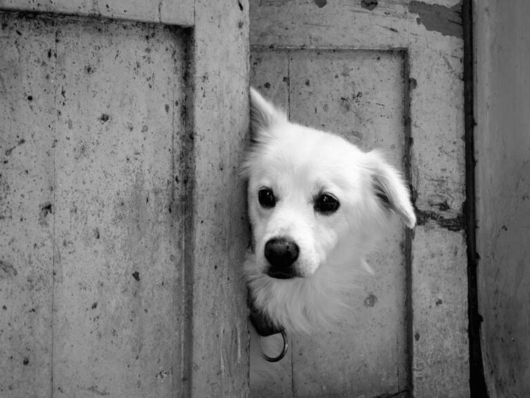 Aktualne przepisy prawne dotyczące zarządzania nieruchomościami w Polsce – przewodnik 2024-2025