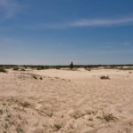 Obowiązki zarządcy nieruchomości - jak uniknąć błędów i kar