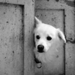 Zmiany prawne w branży Facility Management w 2023 roku - co należy wiedzieć